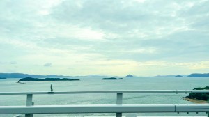 IMG_0964_jpg