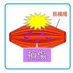 A7F01887-2C9E-4A99-8BF6-D60E30F3E74C