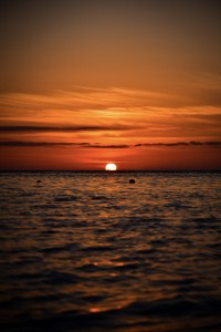 DSC_8997