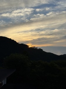 IMG_6120