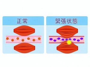 cf4dfc360a7481fabcc2011c2e27b97c_t