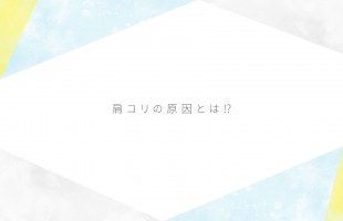 黄、青と白とグレーのミニマルなポートフォリオのプレゼンテーション
